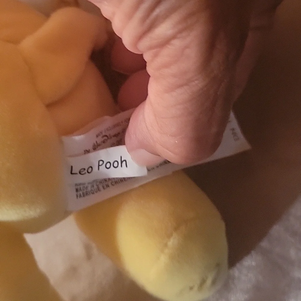 Leo Pooh 8
